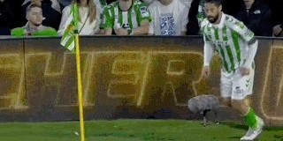 【西甲】卜拉欣破门伊斯科点射，皇马1比2客负贝蒂斯